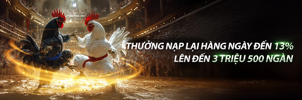 Hình ảnh chính blog S777
